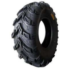Llanta para cuatrimoto PROMOTO 20X10.00 - 10 FB118 6PR TL
